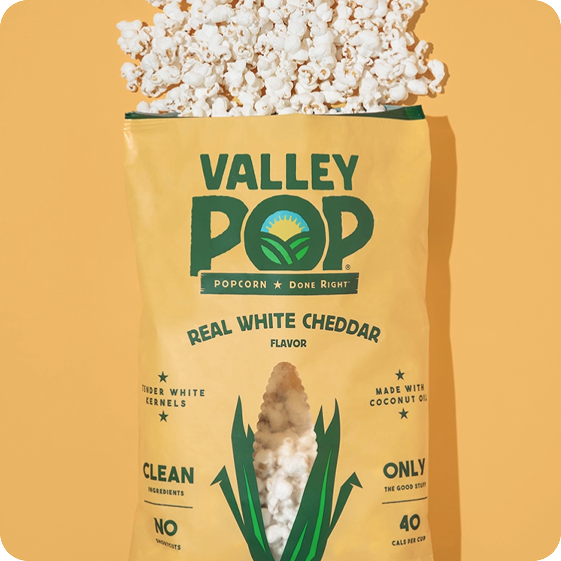 REAL WHITE CHEDDAR