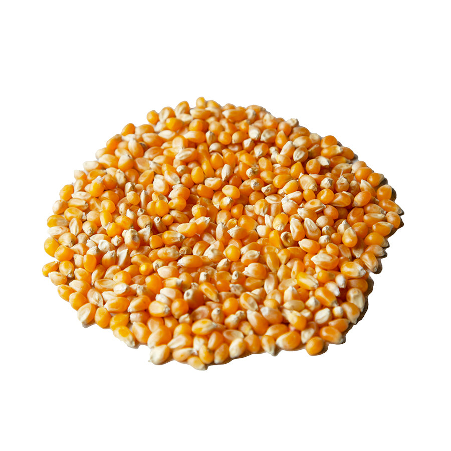 12 Count - 2 lb Bag Non-GMO Yellow Popcorn Kernels